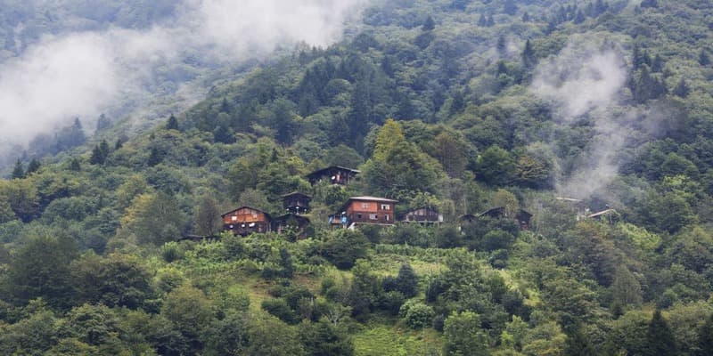 جولة آيدر - 3