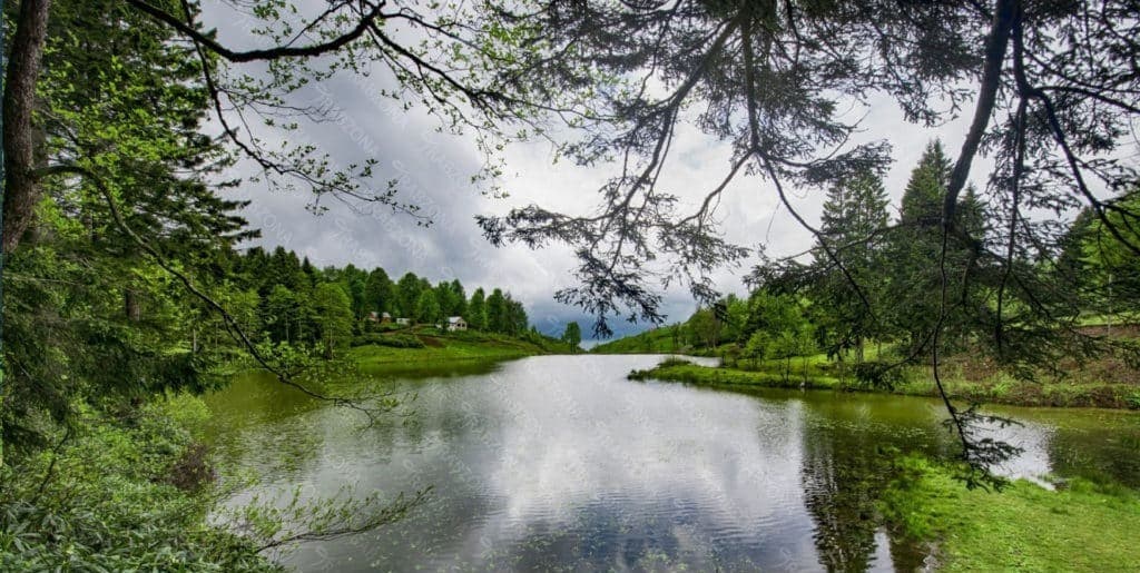 جولة حيدر نبي - 4