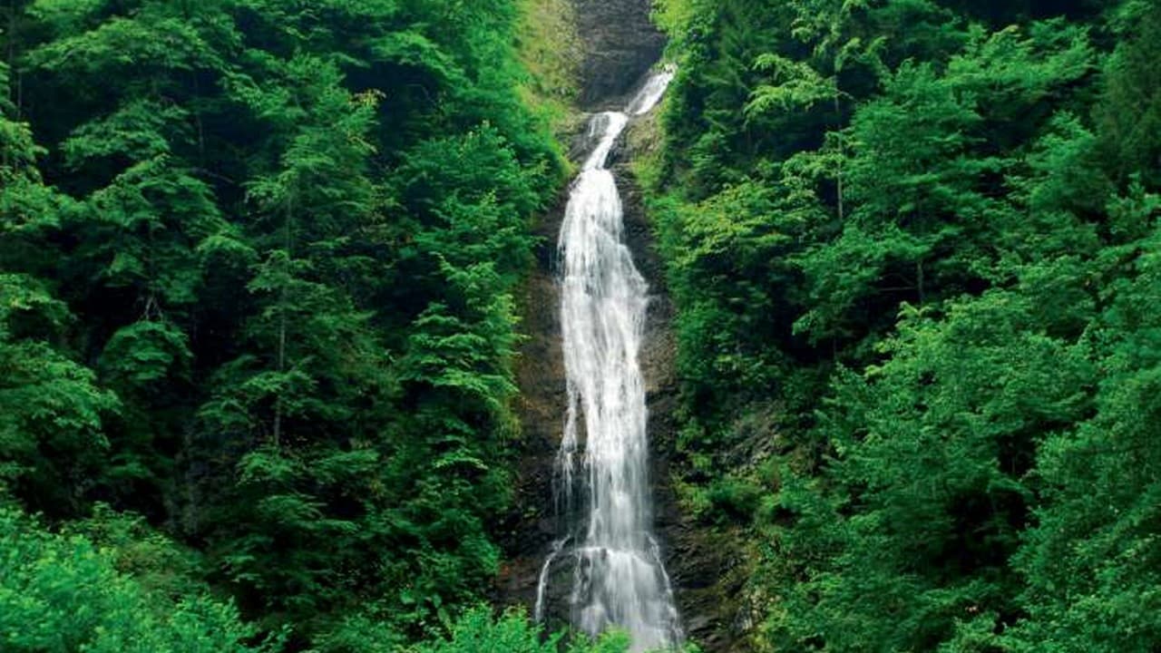 جولة مدينة ريزا