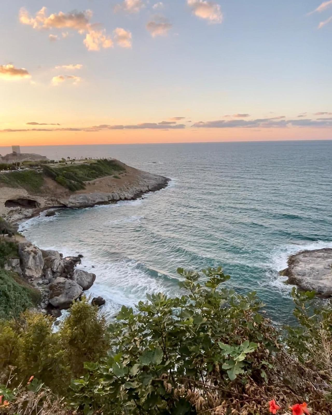 رحلة شيلا وأغوا