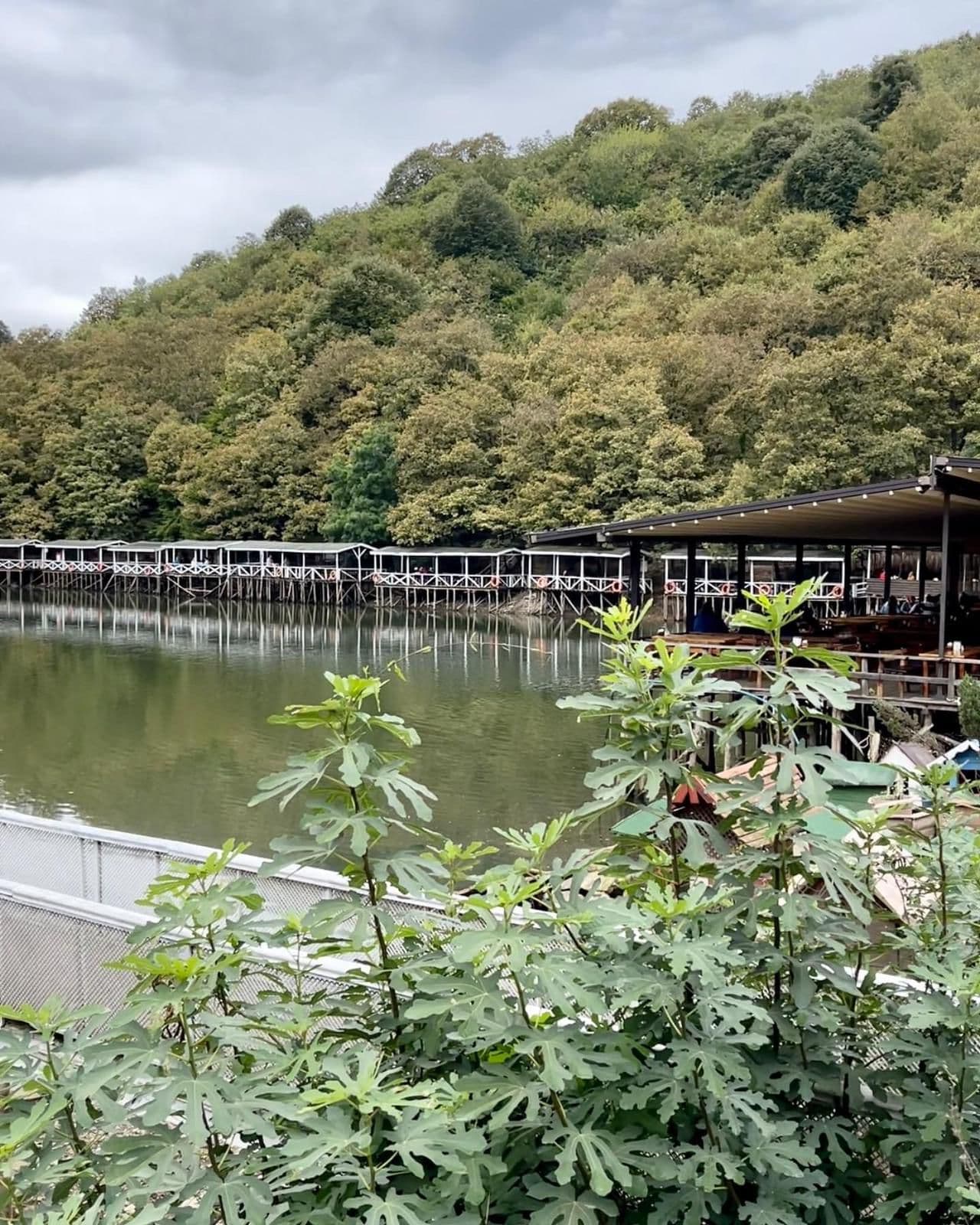 رحلة شيلا وأغوا - 9