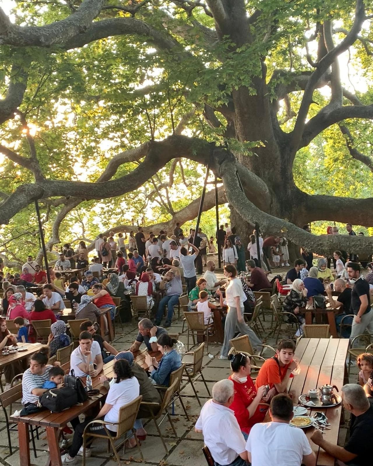 رحلة بورصا الخضراء - 8